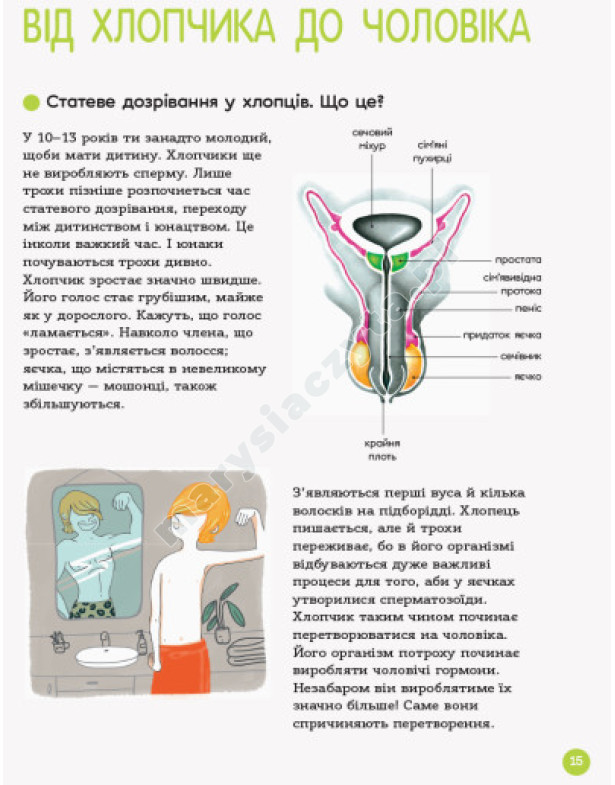 Для турботливих батьків. Енциклопедія статевого життя. 10-13 років