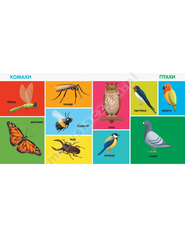 100 перших слів. Смарт-книги 100 перших слів. Смарт-книги