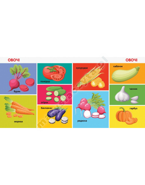 100 перших слів. Смарт-книги 100 перших слів. Смарт-книги