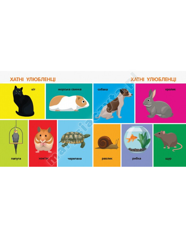 100 тварин. Смарт-книги