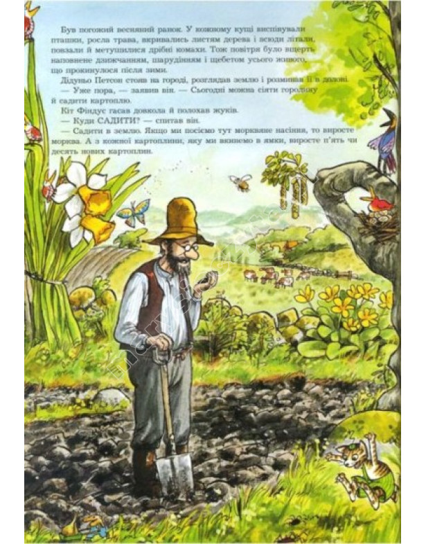 Petson, Findus i zamieszanie w ogrodzie