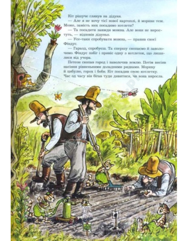 Petson, Findus i zamieszanie w ogrodzie