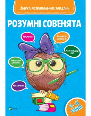 Inteligentne sówki. Zbiór zadań rozwojowych na 5-6 lat
