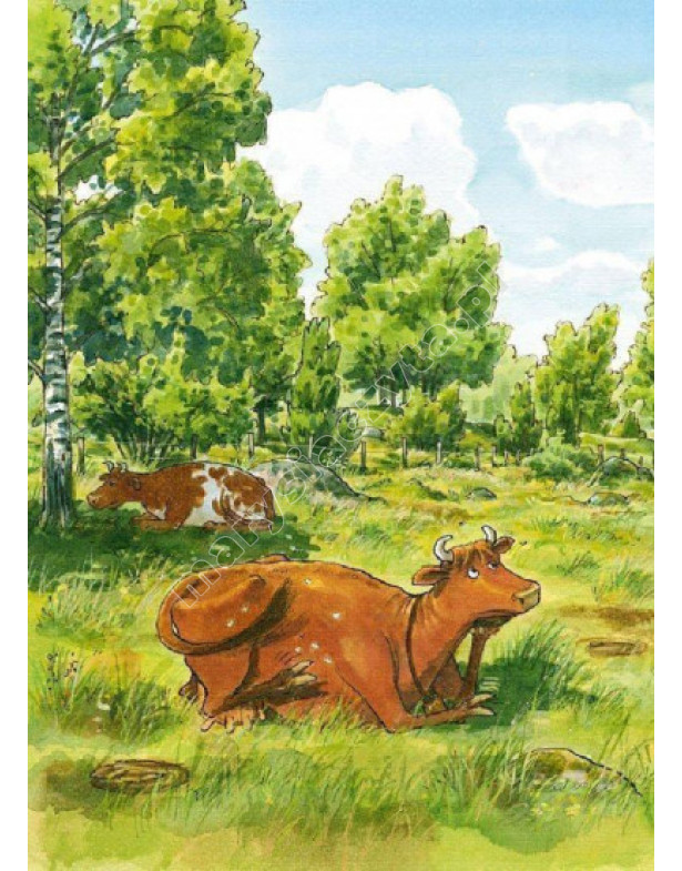 Jak Matka Mu została ranna