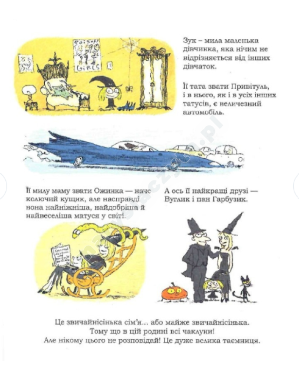 Żuk. Księga 9. Chemna, jak wiedźma