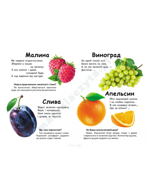 Co to jest? Warzywa, owoce i jagody. Pytania i odpowiedzi