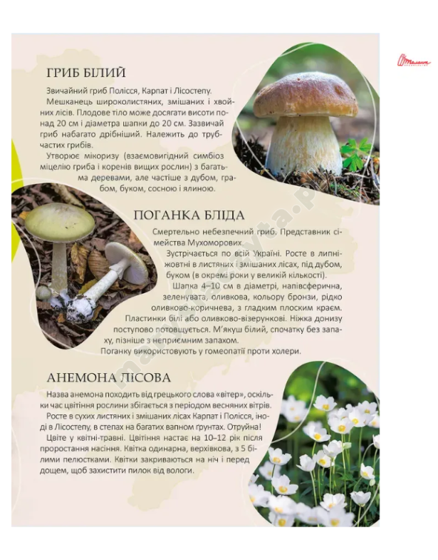Перлини природи України
