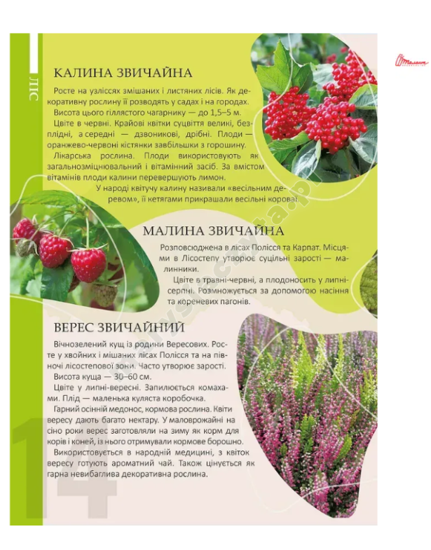 Перлини природи України