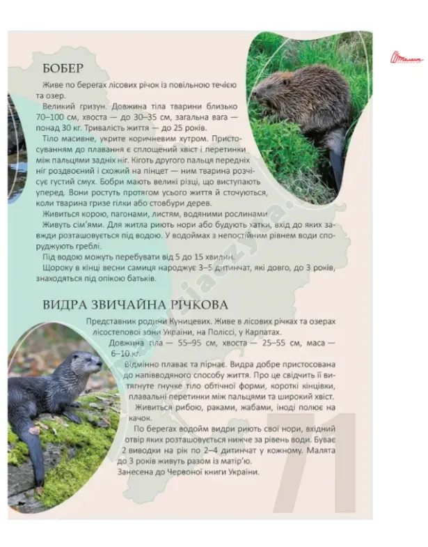 Perły natury Ukrainy