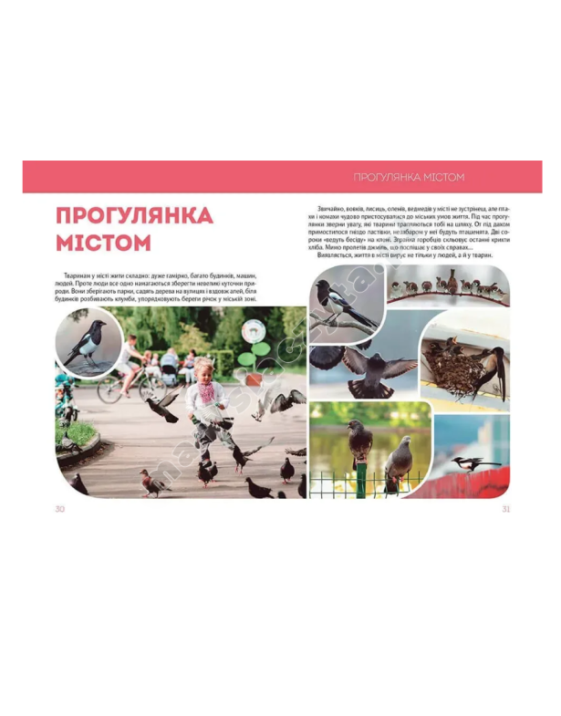 Велика книга про тварин