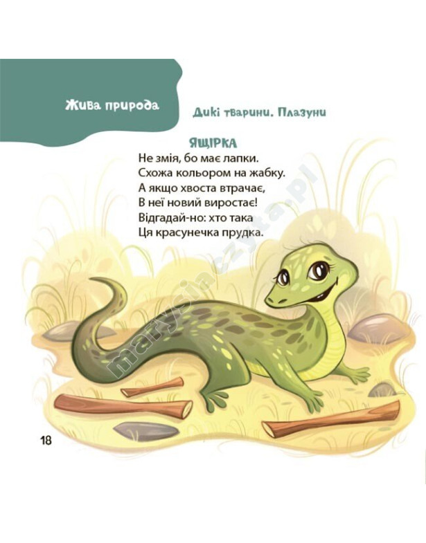 Віршенята-загадки для малят. 3–5 років