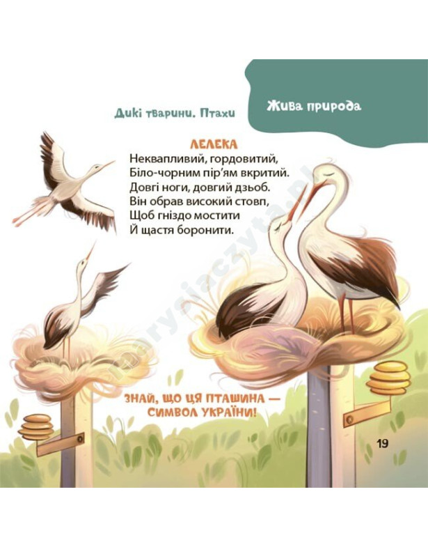 Віршенята-загадки для малят. 3–5 років