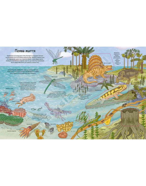 Динозаври. Книга з віконцями