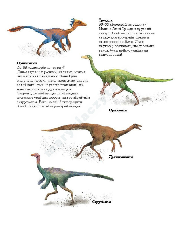 Друзяки-динозаврики. Перегони в Болотяному лісі Друзяки-динозаврики. Перегони в Болотяному лісі