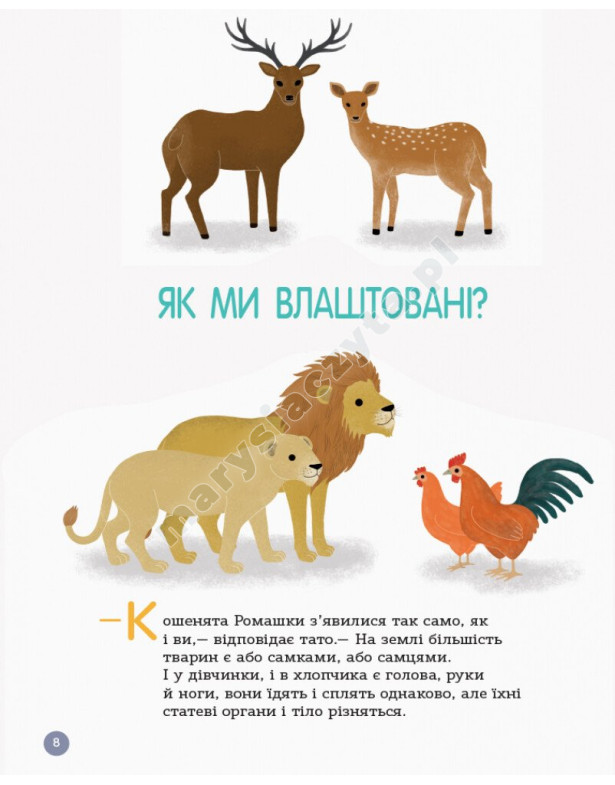 Енциклопедія статевого життя. 4-6 років