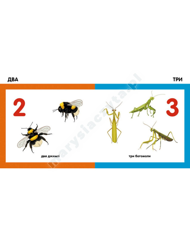 Лічимо комах. Смарт-книги