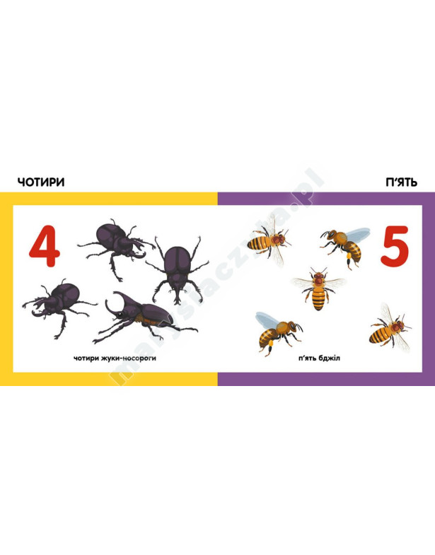 Лічимо комах. Смарт-книги