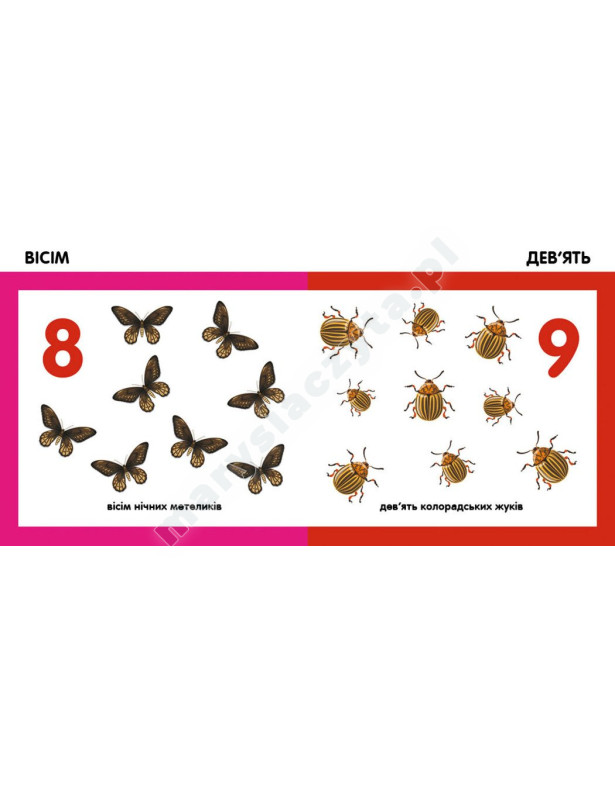 Лічимо комах. Смарт-книги