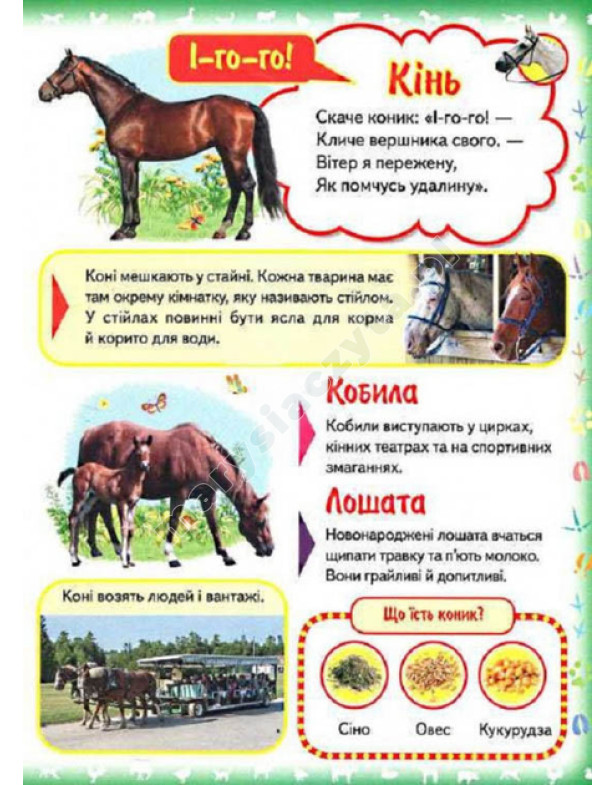 Моя перша книга. Про свійських тварин