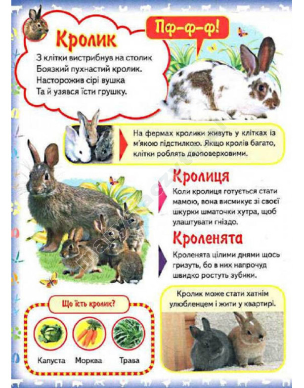 Моя перша книга. Про свійських тварин